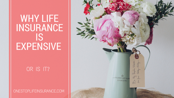 why life insurance is expensive