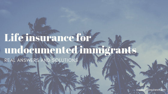 palm threes with text life insurance for undocumented immigrants