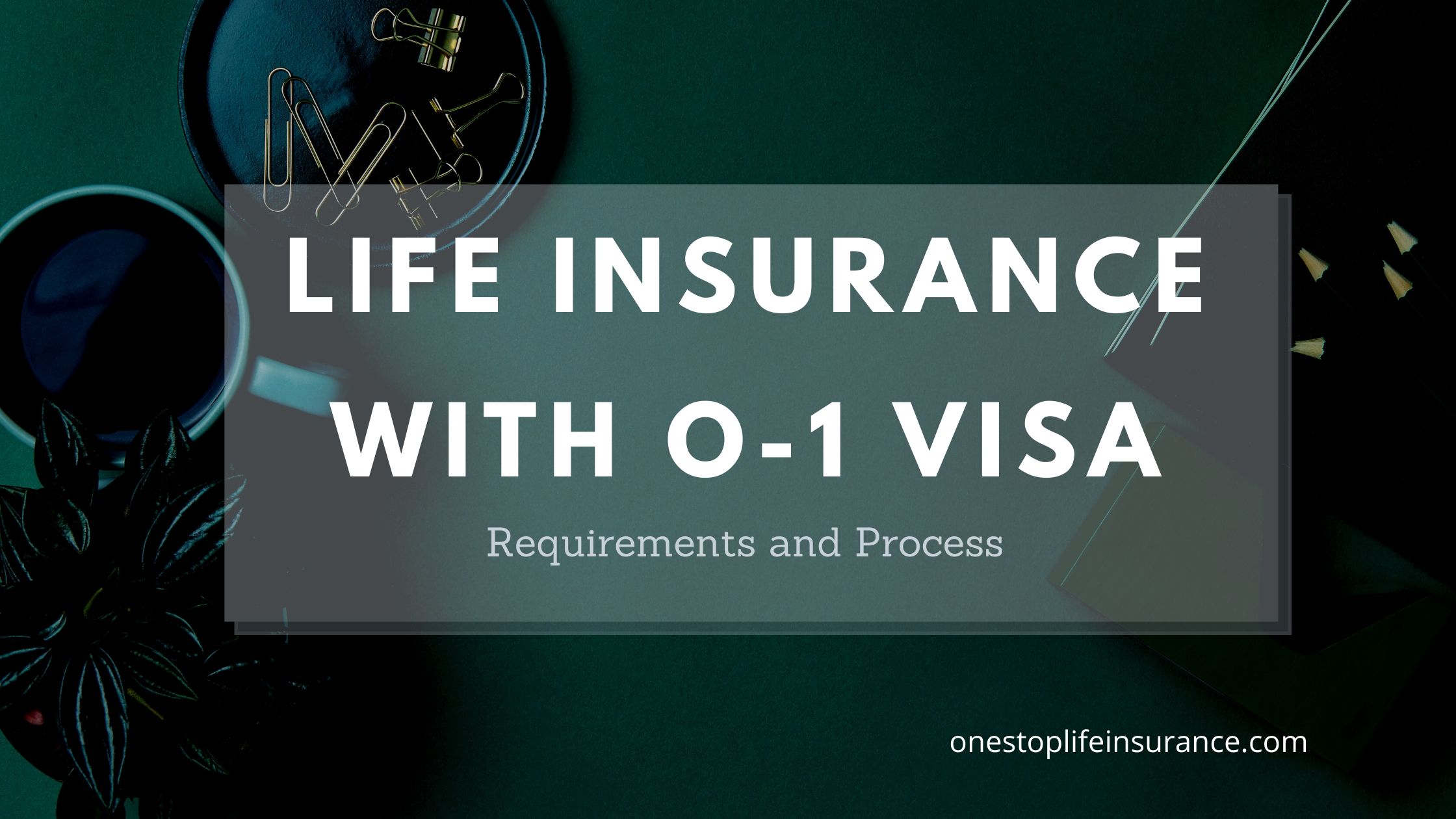 Life insurance with o-1 visa requirements and options